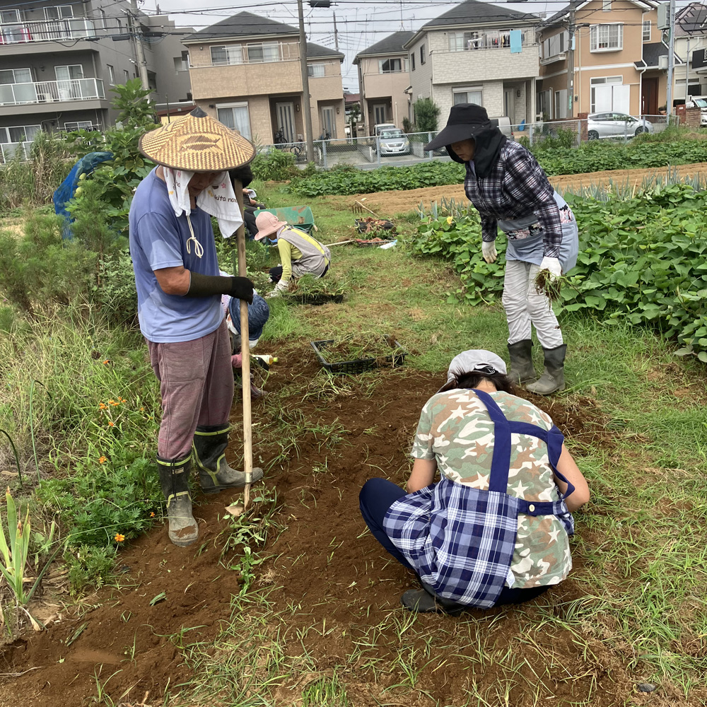 種まき