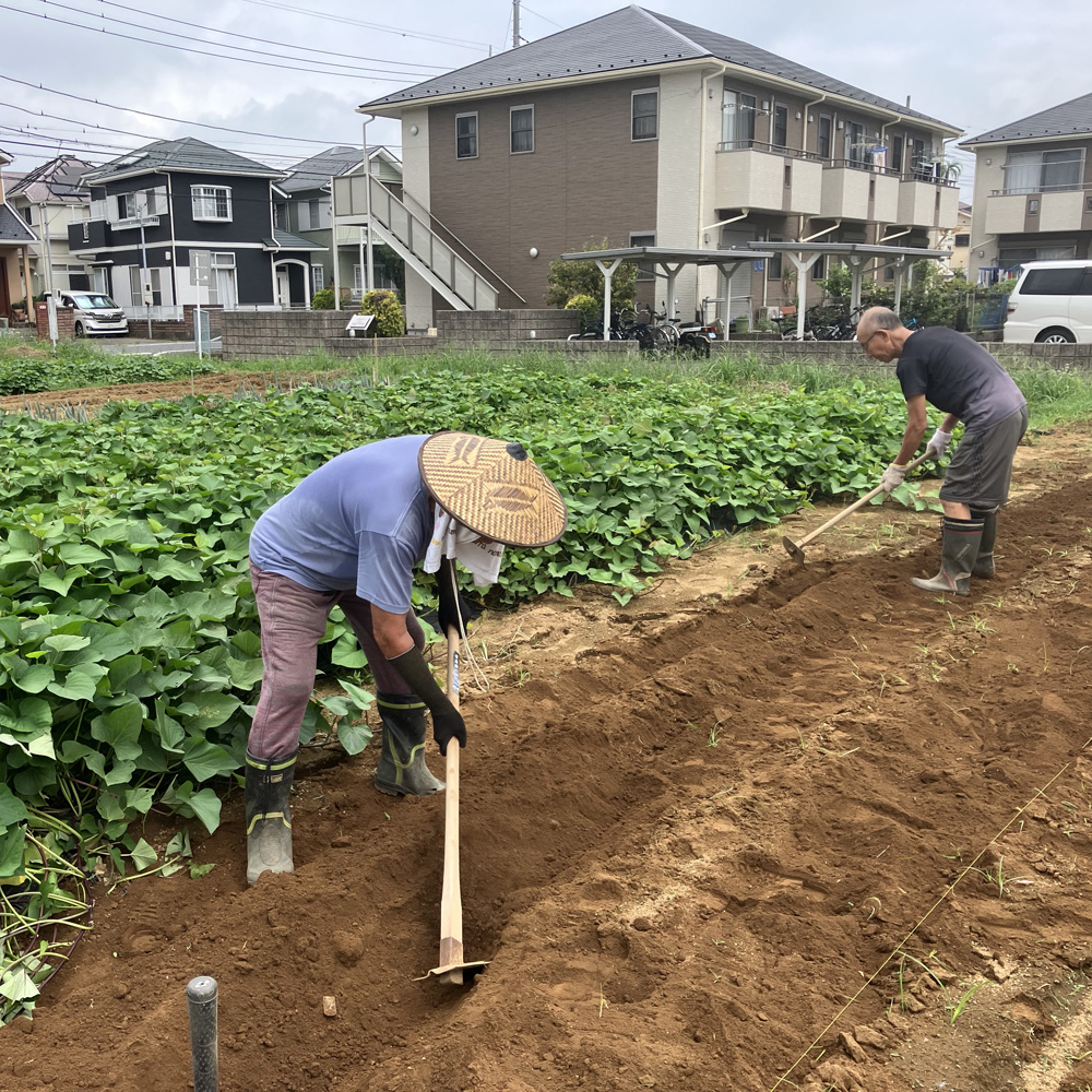 種まき